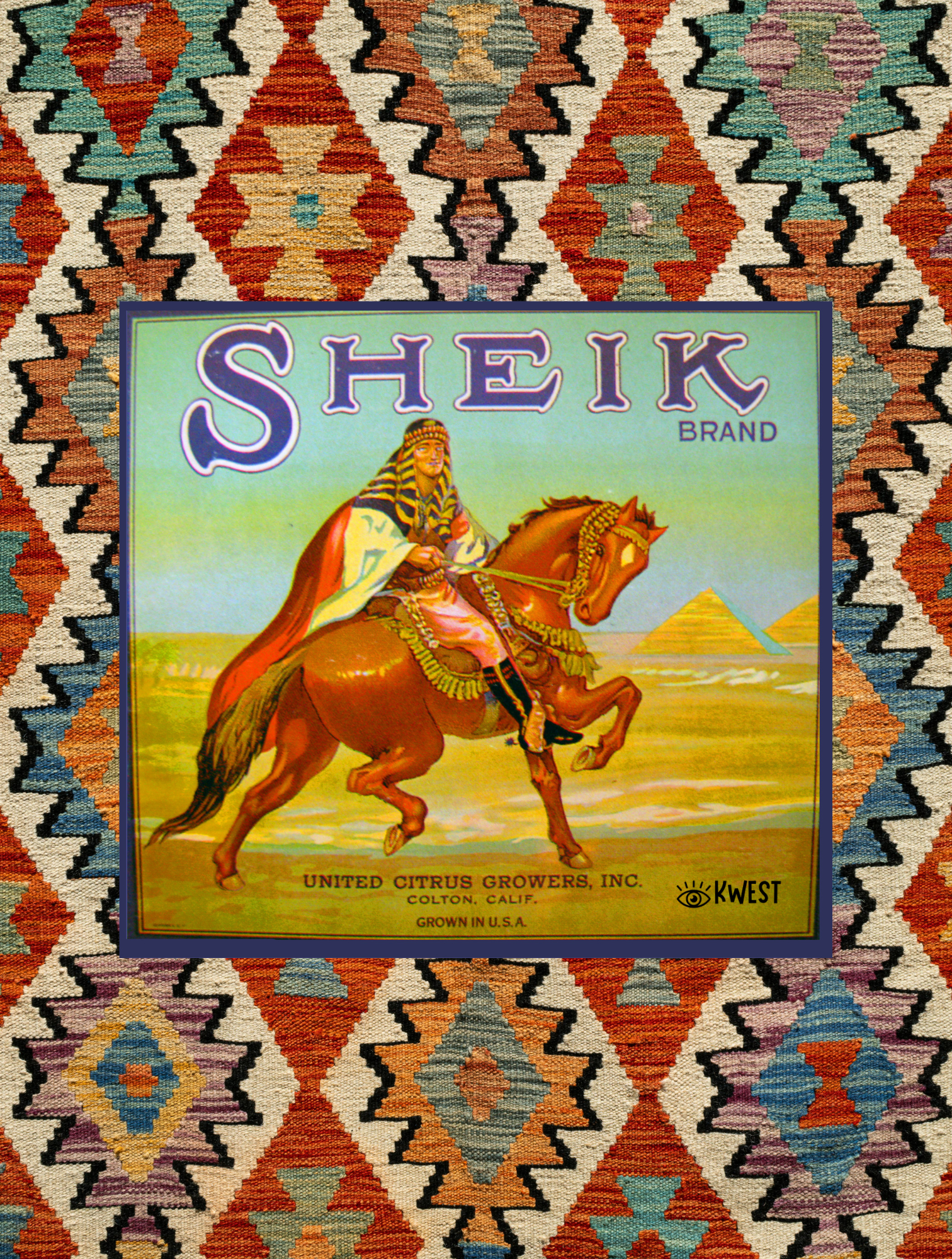Sheik Horse Desert Tea Towels Cotton Kitchen Towel | Decorative Vintage Art Print Dish Towel Kitchen Decor